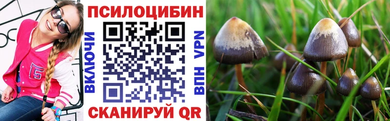 Псилоцибиновые грибы MAGIC MUSHROOMS  где купить наркоту  Игра 